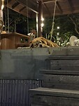 IMG_1455