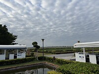 IMG_1419