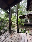 IMG_1474
