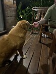 IMG_1606