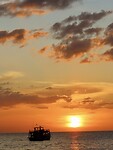 IMG_0983