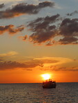 IMG_0980