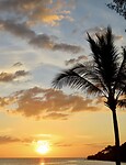 IMG_0975