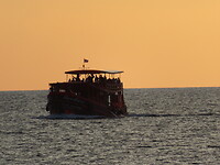 IMG_0966