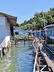 IMG_0959
