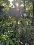 IMG_1663