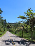 IMG_0938