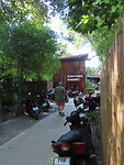 IMG_0928