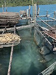 IMG_1628