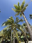 IMG_1615