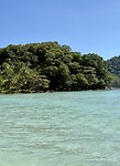 IMG_1613