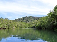 IMG_1004