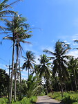 IMG_1060