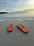 IMG_1924