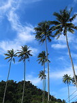 IMG_1180