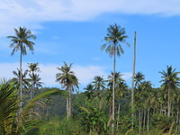IMG_1179