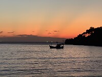 IMG_2010
