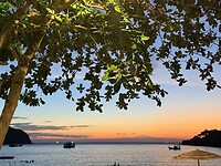 IMG_2003