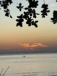 IMG_2001