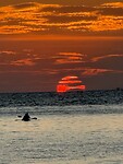 IMG_1995