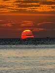 IMG_1994