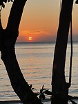 IMG_1989