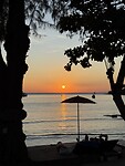 IMG_1986