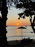 IMG_1985