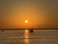 IMG_1984
