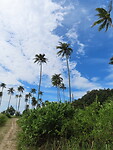 IMG_1168