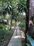 IMG_1139