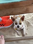 IMG_1962