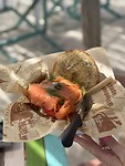 IMG_1957