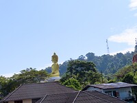 IMG_1210