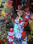 IMG_1236