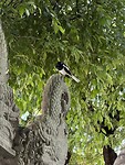 IMG_2123