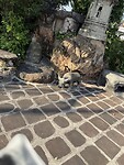 IMG_2121