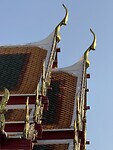 IMG_2114