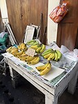 IMG_2477