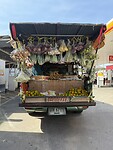 IMG_2524