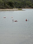 IMG_3136