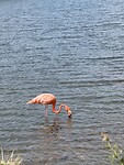 IMG_3133