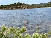 IMG_3131