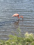 IMG_3129