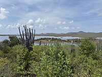 IMG_3123
