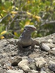IMG_3122