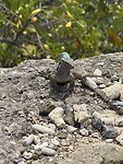 IMG_3120