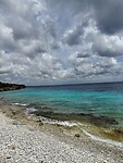 IMG_3110