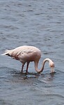 IMG_0095