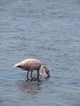 IMG_0094